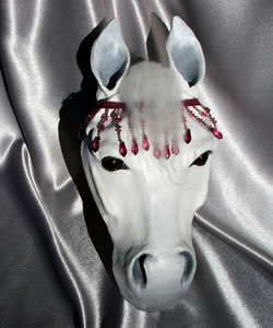 white horse with jeweled headband